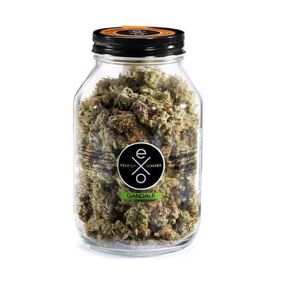Image 5 for Gandalf, a sativa product Image 5 for Gandalf, a sativa product