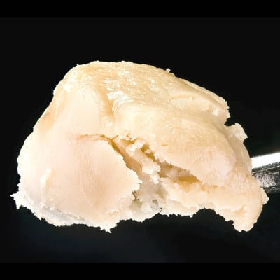 Image 9 for Paradiso Tropical – Maven Mini Halos Rosin Infused Pre-Rolls 5-Pack [3g], a hybrid product