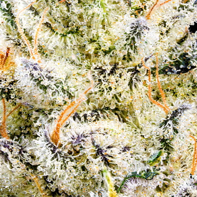 Image 6 for Chem 51 [3.5g], a hybrid product