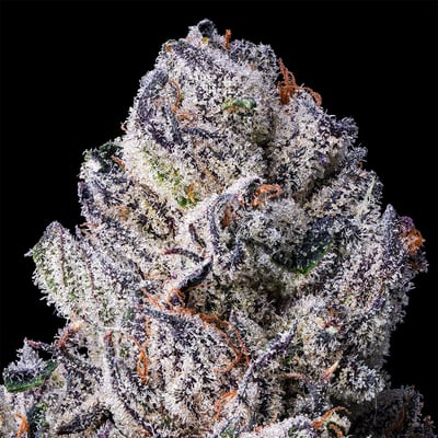 Lemoore Cannabis Dispensary | Buy Weed Online Now | NHC