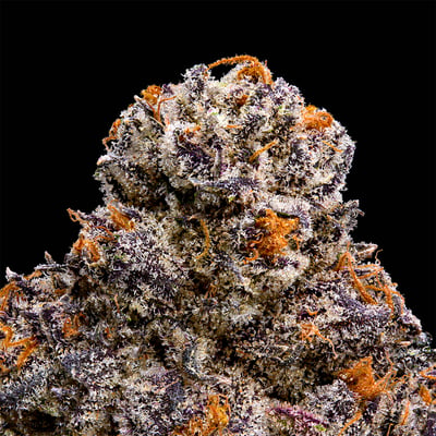 Image 5 for RS-X Pre-Roll 5-Pack [2.5g], a indica product