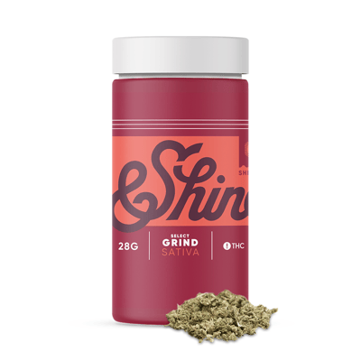 Shop Cannabis in Boston | Rooted In