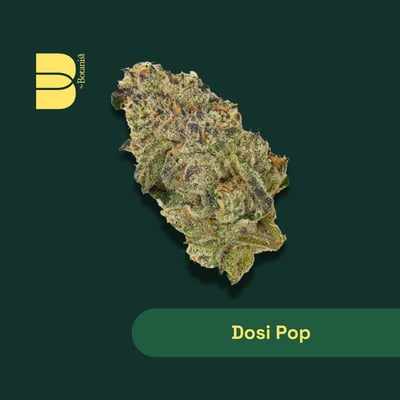 Shop Dosi Pop | River Bluff Cannabis Dispensary Roselle, IL