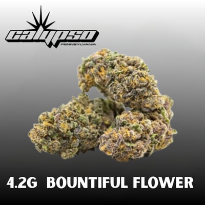 Shop White Sherbo [4.2g] | BEYOND / HELLO - Dickson City