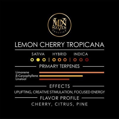 【SPTM】エルヴィナス「クリスタリュージョンE」と「フェアリュージョン E」 10mg THC Yuzu Lemonade Spritz – Upstate Elevator