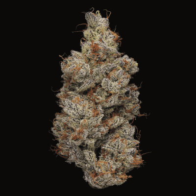 CNP liquid sativa セール中 NYC Diesel Sativa 5-Pack Joints – Sluggers