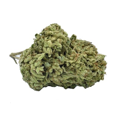 Shop Apricot Mints | Solful - Healdsburg Dispensary Healdsburg, CA