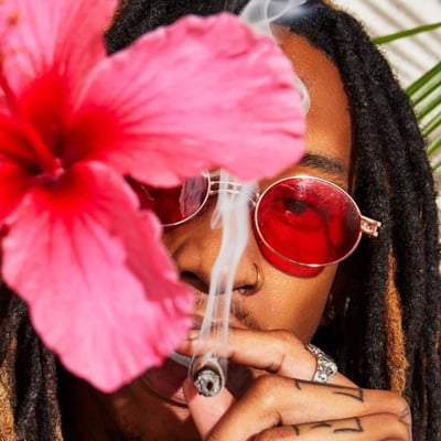 Image 5 for Paradiso Tropical – Maven Mini Halos Rosin Infused Pre-Rolls 5-Pack [3g], a hybrid product