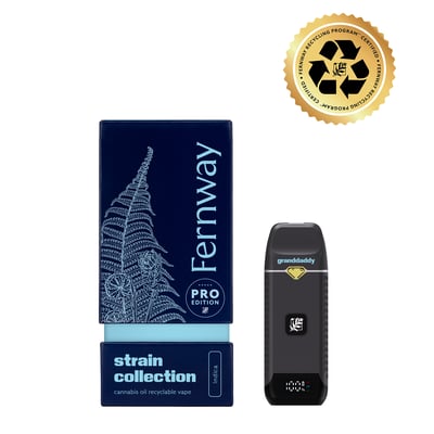 fernway disposable vape instructions King Louie Traveler Vape main image 0