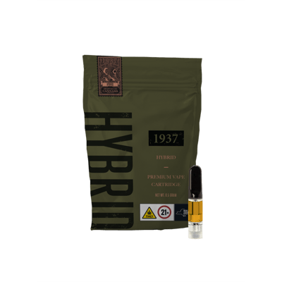 elfbar elfa master akku Vape 95% 10oH 1ml - Canapuff - Disposable main image 1