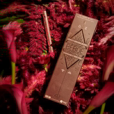 Image 2 for CBN Sweet Dreams Raspberry Plum [500mg], a indica product