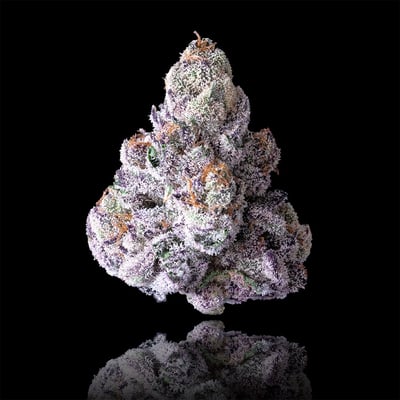 Image 6 for 98 Reserve Gold Blend, a indica product Image 6 for 98 Reserve Gold Blend, a indica product