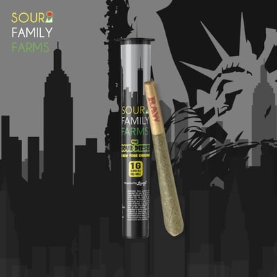 Shop Sour Diesel [1g] | High Haven