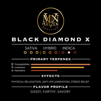 Black Diamond X [3.5g] | Maven | Flower