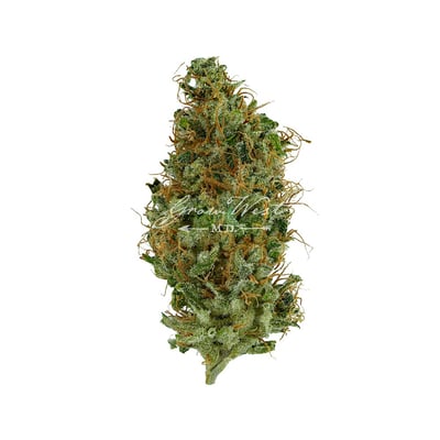 Shop Afterburner | Adult Use Cannabis