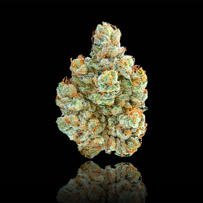 Image 6 for SFV OG Gold Blend, a hybrid product Image 6 for SFV OG Gold Blend, a hybrid product