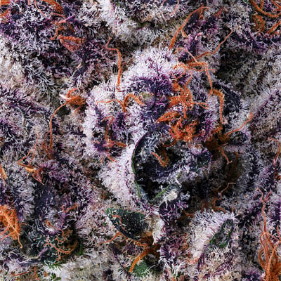 Image 5 for Chrome Dome Pre-Roll 5-Pack (2.5g), a sativa product Image 5 for Chrome Dome Pre-Roll 5-Pack (2.5g), a sativa product