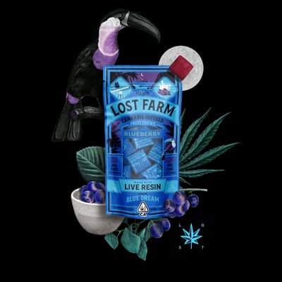 Shop Blueberry x Blue Dream [10pk] (100mg) | Canna Culture Collective