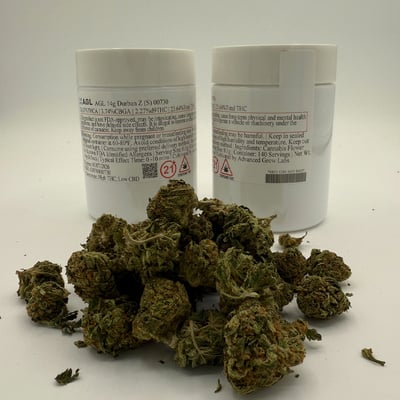 Shop AGL Durban Z 23.64% S 00730 | Venu Flower Collective