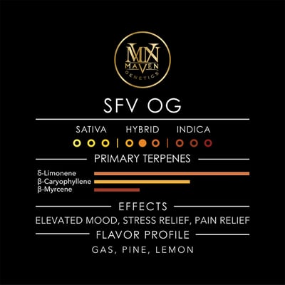 Image 6 for SFV OG Maven Minis [14g], a hybrid product