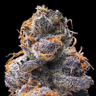 Image 5 for Orange Sapphire [3.5g], a sativa product
