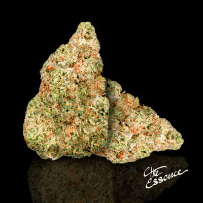 Image 2 for Alien Breath, a hybrid product