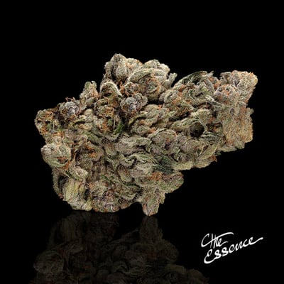 Image 2 for Cherry Punch, a hybrid product