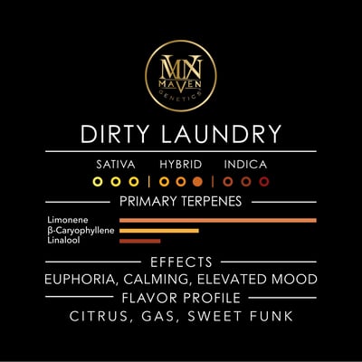 Image 8 for Dirty Laundry [3.5g], a hybrid product