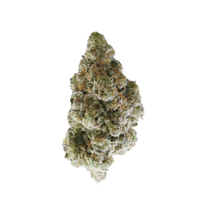 Shop Cyber Wolf | FLUENT - Lakeland Dispensary Lakeland, FL