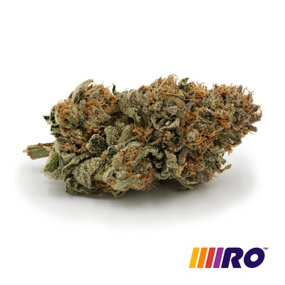 6f35bf81-a57e-460f-92c2-