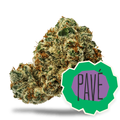 Image 2 for Pavé, a hybrid product