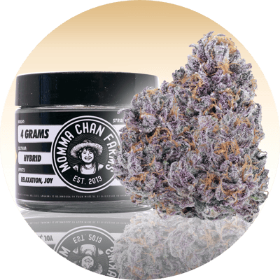 Shop Crotch Rocket [4g] | A Greener Today - South Seattle