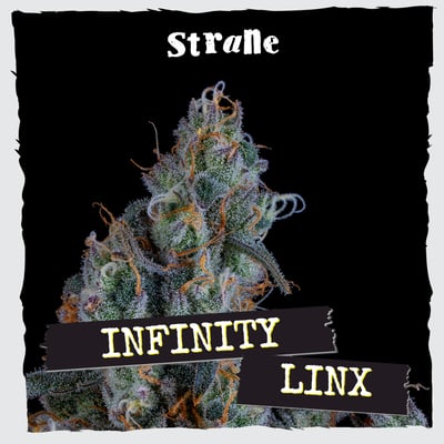 Verilife New Market Menu - Medical Cannabis in New Market | Verilife