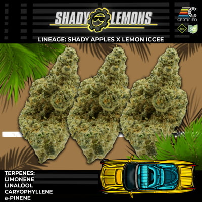 Shop Shady Lemons [2.83g] | BEYOND / HELLO - Cincinnati (REC