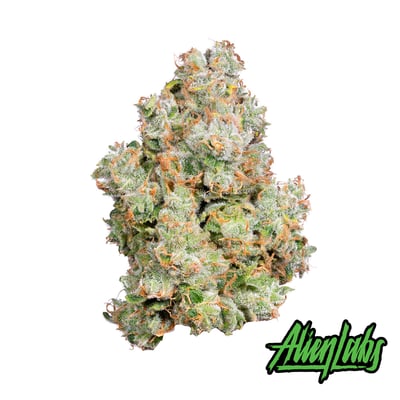 Shop XJ-13 | Insa - Newtown Square Dispensary Newton Square, PA