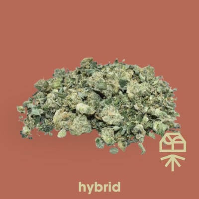 Shop Cheddar Cheeze | BEYOND / HELLO - Normal (MED) Dispensary