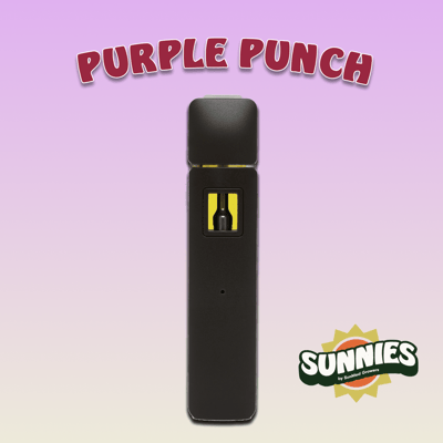Shop Purple Punch | 2g | Disposable Vape