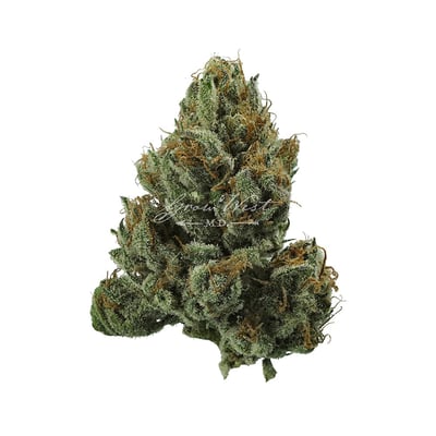 Image 1 for Magic Haze, a sativa product Image 1 for Magic Haze, a sativa product