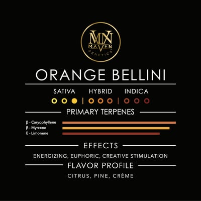 Image 10 for Orange Bellini [3.5g], a sativa product