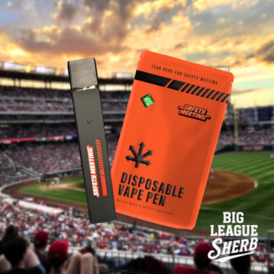 Shop Big League Sherb #4 [300mg] | The Dispensary - East Dubuque (REC) East  Dubuque, IL