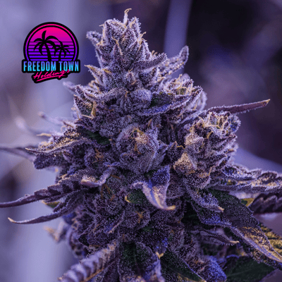Shop Sharpiez | FLUENT - Atlantic Blvd Dispensary Jacksonville, FL