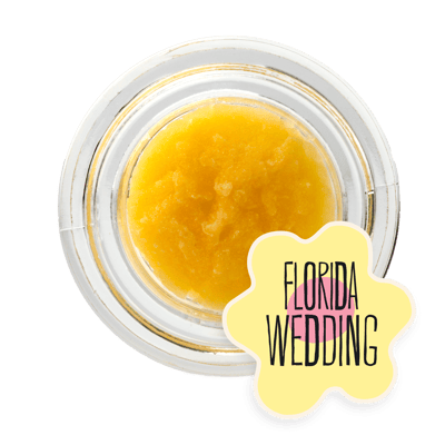 Image 1 for Florida Wedding, a hybrid product