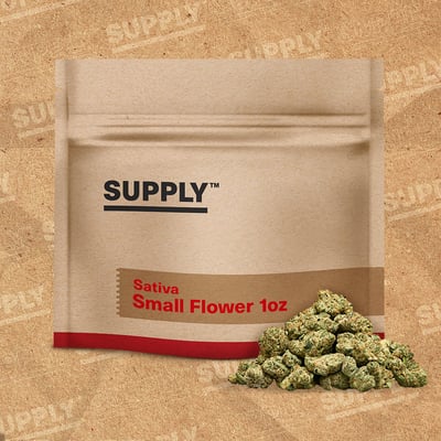 Image 6 for Chemex, a sativa product