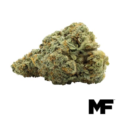 Shop Kushlato | Insa - Newtown Square Dispensary Newton Square, PA