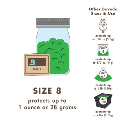Image 5 for Boveda (Size 1), a null product