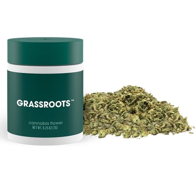 Shop Mimosa Kush Mints | BEYOND / HELLO - Bloomington (REC