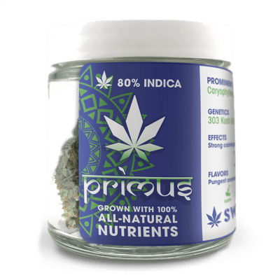 Shop Primus | Cinder - Downtown Dispensary Spokane, WA Shop Primus | Cinder - Downtown Dispensary Spokane, WA