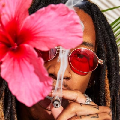 Image 5 for Paradiso Tropical Halos Rosin Infused Pre-Roll [1.9g], a hybrid product