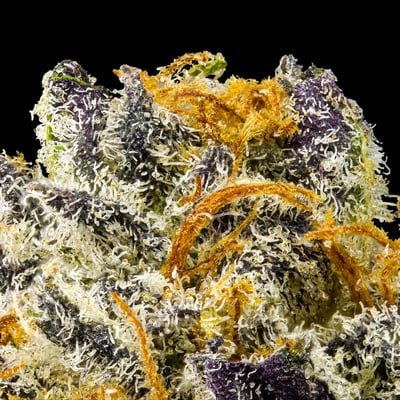 Image 9 for Sour Sangria Goldies Infused Pre-Rolls 5-Pack [3g], a sativa product