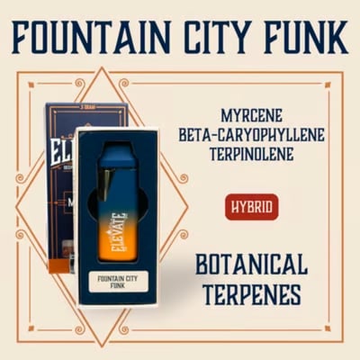 Shop Fountain City Funk [500mg] | Verts Neighborhood Dispensary